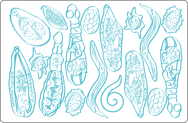 Illustration of different kinds of parasites