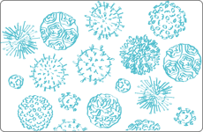 Other viruses-2