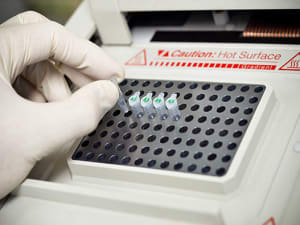 PCR SON MULTI 300X225