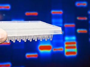 Protein Detection
