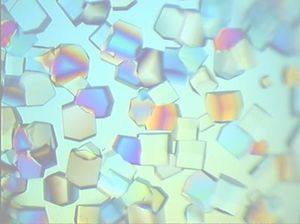 Protein Structure