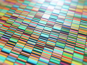 SEQ RNA EXOME 300X225