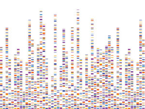 SEQ RNA WGS