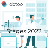 Stage 2022