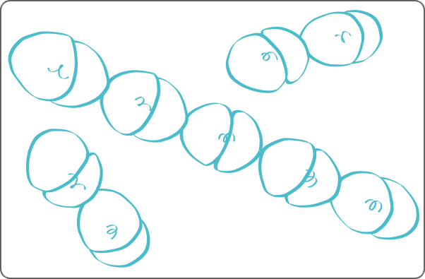 Streptococcus illustration