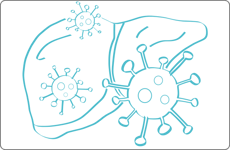 Viral hepatitis-1