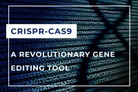 CRISPR-Cas9 EN-1