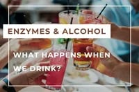 Enzymes & alcohol EN