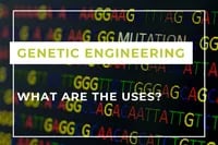Genetic engineering EN