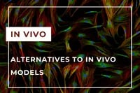 in vivo EN-min