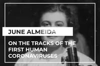 junealmeida-en