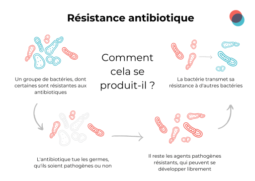 antibiotic resistance 513