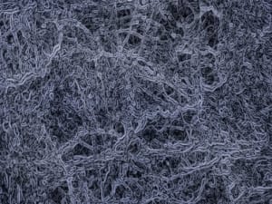 biofilm 300x225