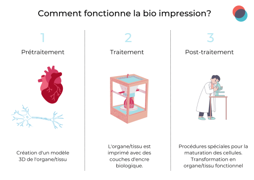 bioprinting 513
