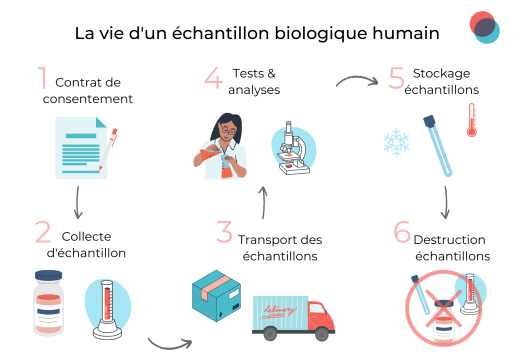 biosample 513
