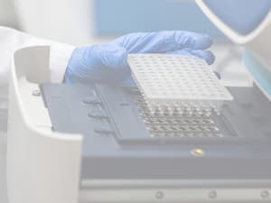 geneexpression 300x225