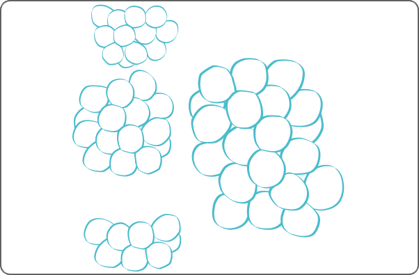 Illustration of Staphylococcus.