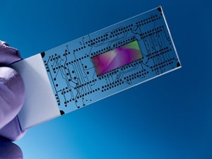 microarray 300x225-1