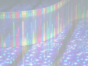 microarray 300x225