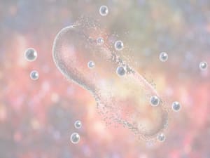 microbio 300x225