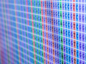 sequencage 300x225
