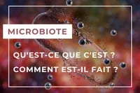 Microbiota FR