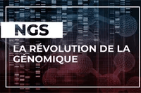 ngs-fr
