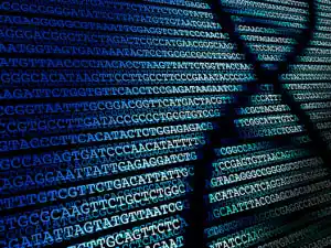 Absolute quantification DNA