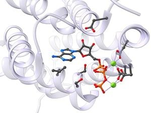 Protein identification