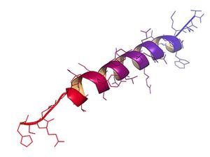 Protein labeling