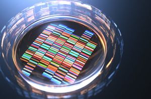 RNA sequencing 300
