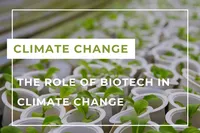 Climate EN-min