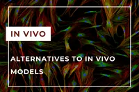 in vivo EN-min