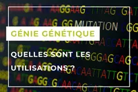 Genetic engineering FR