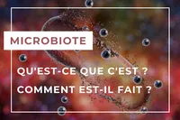 Microbiota FR