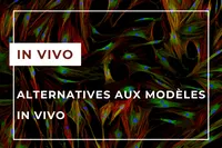in vivo FR-min