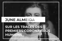 junealmeida-fr