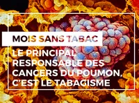 tabac-fr